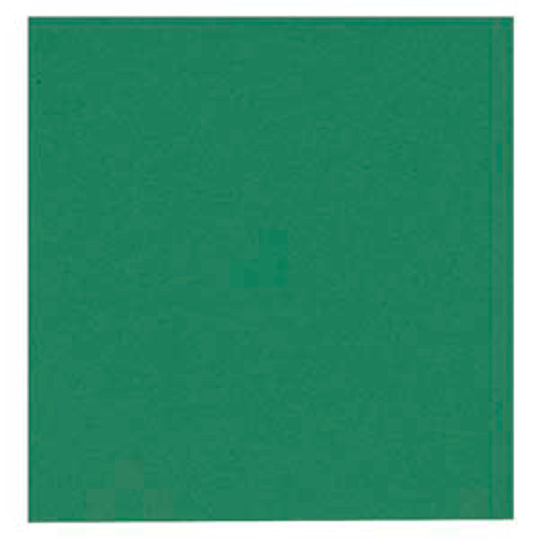 Lautasliina vihreä 40x40 2-krs, 100kpl